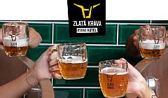Hledáte chvilku pohody s vlastní pípou na pokoji? Zajeďte do Pivních lázní v Nepomuku [p1995]