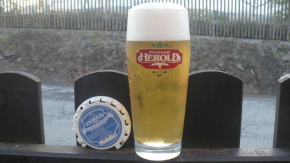 Češi si oblíbili nealkoholické pivo