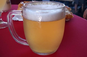 Síň slávy českého pivovarství a České pivo 2025
