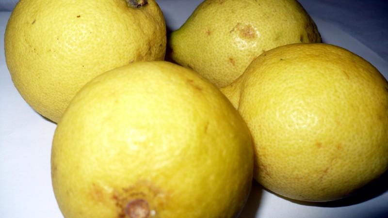 Citronky se obsahem šťávy zásadně liší, vzkazuje dTest