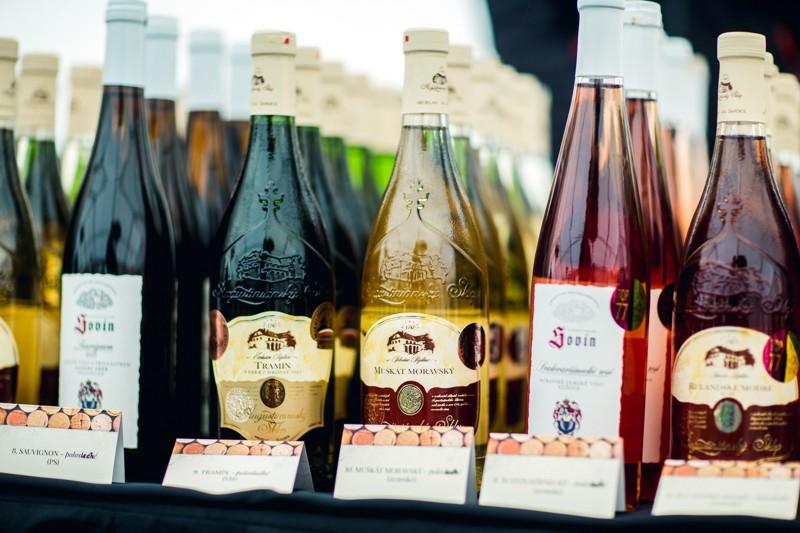 U Vinifery začalo vinobraní, prvně se sbírají hrozny pro Svatomartinské víno