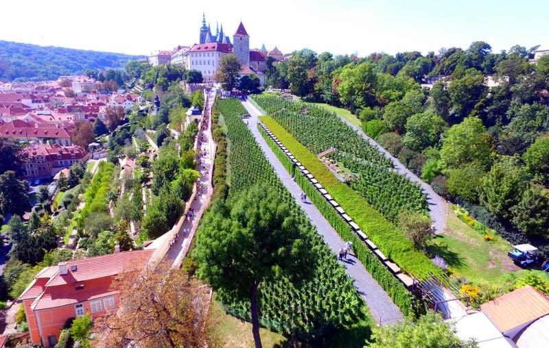 Na Václava si užijte vinobraní na Pražském hradě