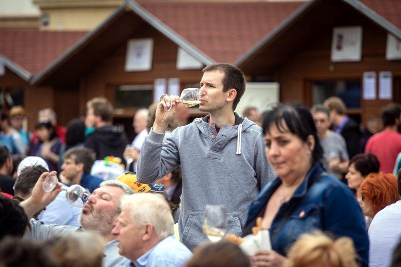 VOC Znojmo a Město Znojmo vyráží na veletrh Wine Prague společně