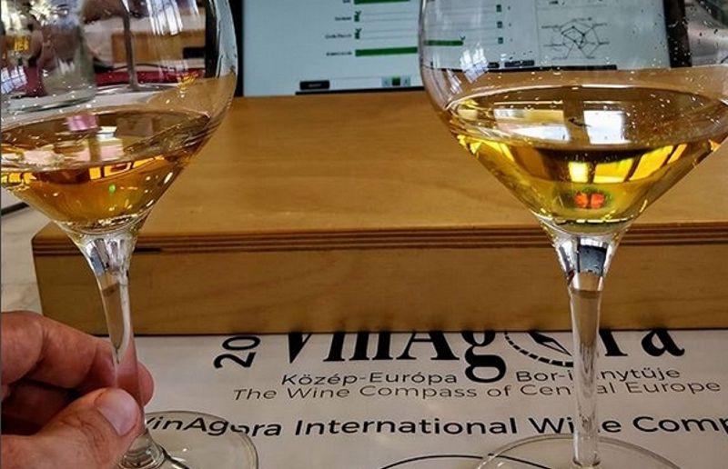 Znojemská vína uspěla v soutěži Vinagora