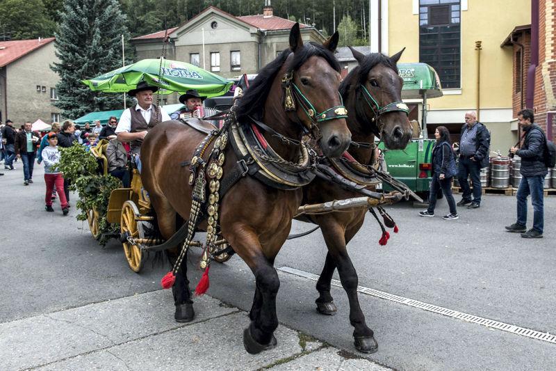 Pivovarské slavnosti Holba již tento víkend