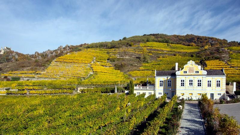 Festival rakouských vín zažijete v říjnu