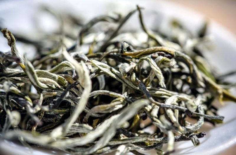 Zelený čaj z Číny překročil limity pesticidů 26x a 110x