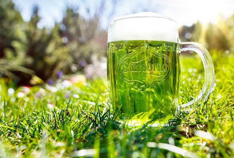 Zelené pivo z Brna už od pondělka
