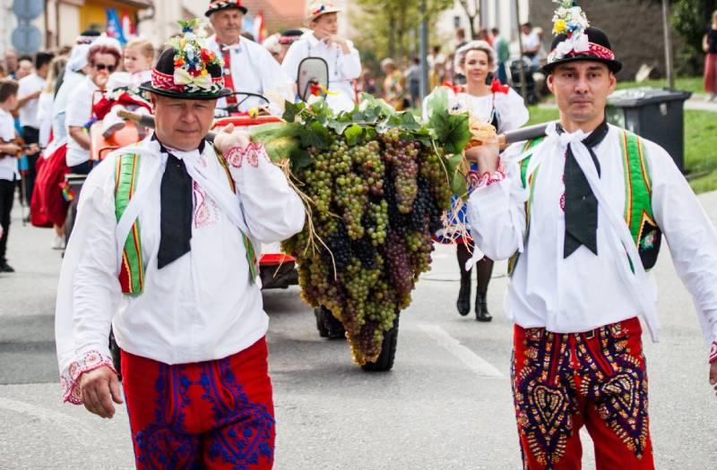 Vinobraní ve velkém stylu