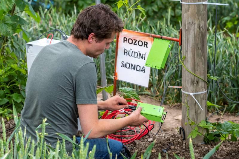 Pro chmel pomáhá českým chmelařům