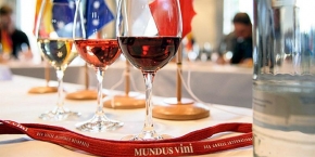 Čtyřicet medailí na Mundus Vini
